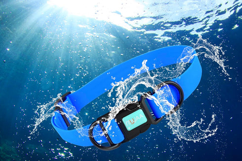 Waterproof Dog Collars, Durable Adjustable Rubber Collars for Small, Medium, Large Dogs, Easy Clean with Buckle and D