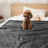 PetAmi Waterproof Dog Blanket Grey, for Small Medium Dogs, Reversible Soft Washable Couch Cover 29x40
