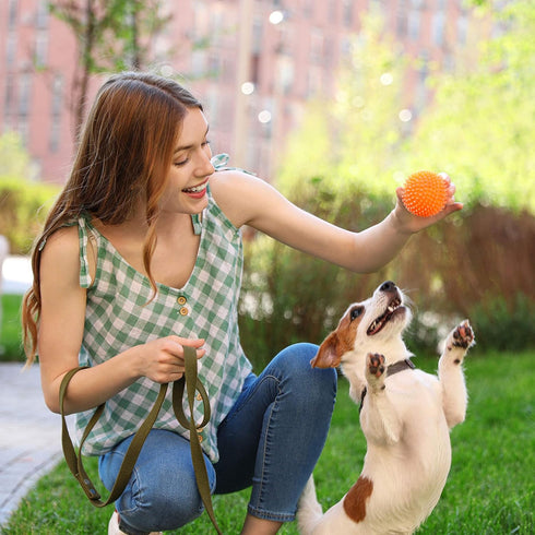 Nutrish Rachael Ray Little Bites Dry Dog Food: Chicken & Veggies Recipe for Small Breeds, 6 Pounds