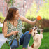 Nutrish Rachael Ray Little Bites Dry Dog Food: Chicken & Veggies Recipe for Small Breeds, 6 Pounds