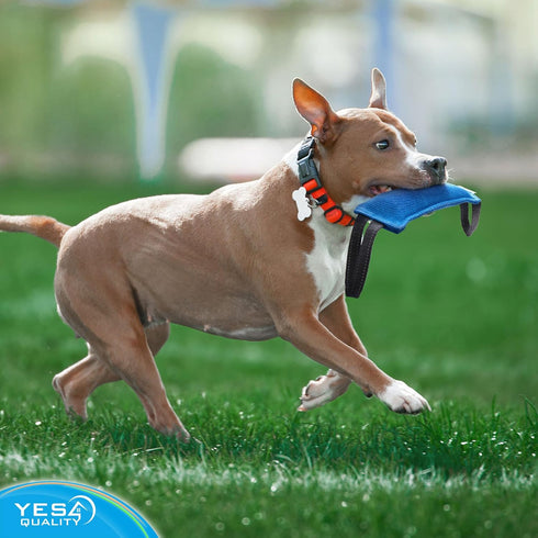 Dog Bite Tug Toy (11.8"x3.5") - Durable Blue Pull Toy with 2 Soft Handles for Small to Medium Dogs