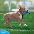 Dog Bite Tug Toy (11.8"x3.5") - Durable Blue Pull Toy with 2 Soft Handles for Small to Medium Dogs