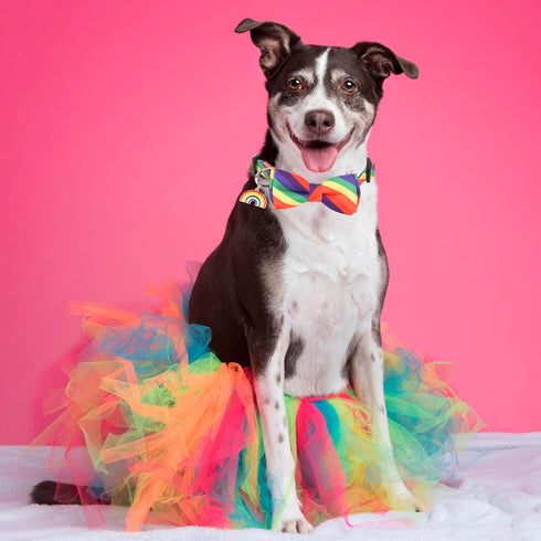 ADOGGYGO Rainbow Dog Collar with Bowtie, Adjustable Striped Bow Collar for Small Medium Large Dogs, Rainbow.