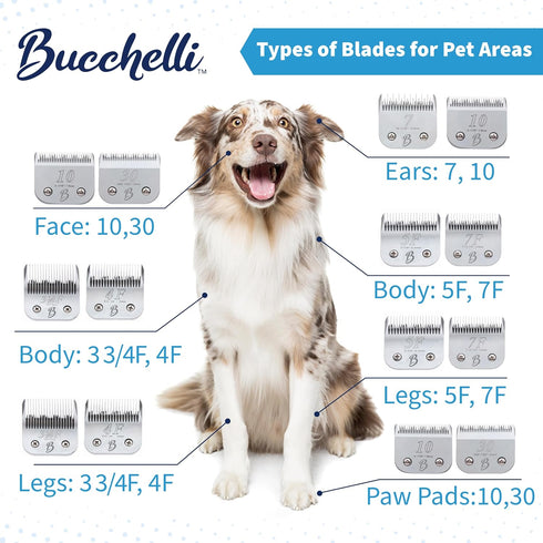 Detachable A Series 4 Blade Dog Grooming Skip Tooth Cuts Length 3 3/8" - Japanese High Carbon Steel Blade Supplies