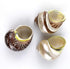 Worlds 3PC 2"-2-3/4"Inch Large Mix Hermit Crab Shells&Turbo Shells