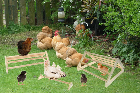 3 Pack Chick Perch Chick Toys Chick Wooden Roosting Bar Chick Jungle Gym Perch Stand for Chicken Brooder, Coop Baby