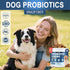 SnazFirst Immune 150 Probiotics for Dogs, Dog Probiotics Chews for Digestive Health & Gut Health, Improve