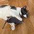 SPOT Big Mouse Bertha Cat Toy with Catnip, Lifelike Plush Mouse, Crinkle Sound, Large 7in Size for Cuddling & Playing