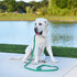 Dogline Waterproof Dog Leash, Strong Biothane Coated Nylon Webbing with Black Hardware, Easy to Clean, Made in USA