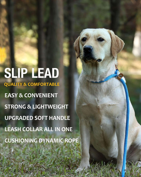 lynxking Dog Leash Slip Lead 5 6 8 FT, Strong Heavy Duty Braided No Pull Training Leash for Small Medium Large Dogs