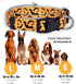 Halloween Dog Collar by Native Pup (Large, Bats)