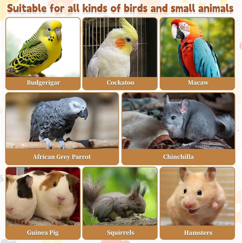 11.8 7.8 Inches 2 kathson x Large Bird Perch, PCS Natural Wooden Parrot Stand Platform, Parakeet Rectangle Stand Perch