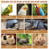 11.8 7.8 Inches 2 kathson x Large Bird Perch, PCS Natural Wooden Parrot Stand Platform, Parakeet Rectangle Stand Perch