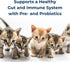 6 oz PetAg KMR Kitten Milk Replacer Powder - - Powdered Kitten Formula with Prebiotics, Probiotics & Vitamins