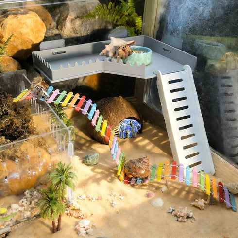 Hamiledyi Hermit Crab Platform with Ladder Climbing Toys Hermit Crab Climbing Wall Shelf Habitat Reptile Tank Decor
