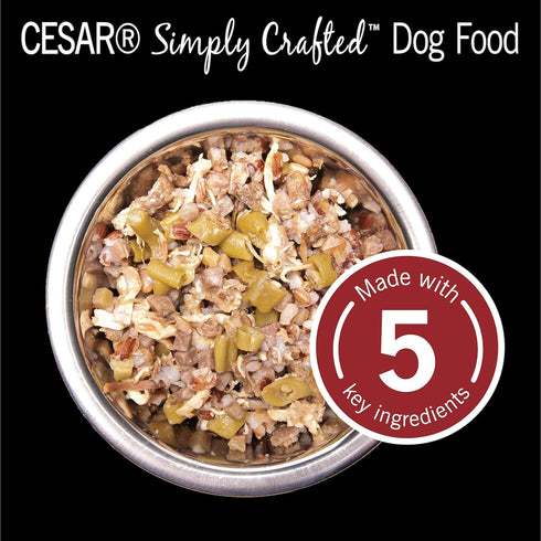 CESAR SIMPLY CRAFTED Adult Soft Wet Dog Food Meal Topper, Beef, Chicken, Purple Potatoes, 10 Tubs, 1.3 oz