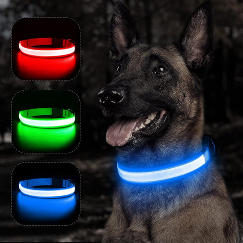 BSEEN Royal Blue Light Up Dog Collar - Reflective LED, Waterproof Glow in The Dark, Rechargeable for Night Walking