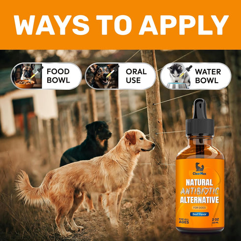 Antibiotic for Dogs, Natural Dog Antibiotics with Beef Flavor, Pet Antibiotic - 2 Oz