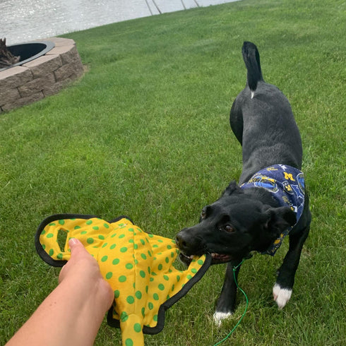 SmartPetLove Snuggle Puppy Tender-Tuffs Tug of War Dog Toy - Extra Large Yellow Stingray Big Ray with Puncture