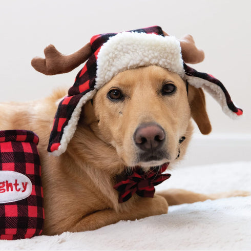 Huxley & Kent Pet Hat | Antler Buffalo Check (Medium) | Holiday Accessory for Dogs/Cats | Festive Christmas Pet Hat |