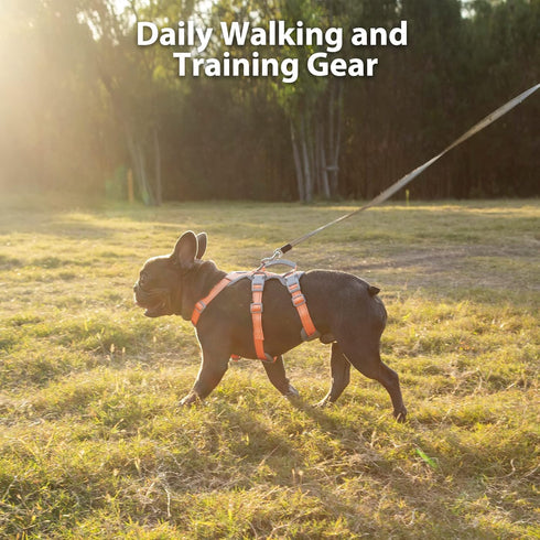 Escape Proof Dog Harness, No Pull Reflective Vest with Lift Handle, Adjustable Pet Harness for Small Medium Large Dogs