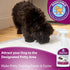 Potty Training Attractant Spray for Dogs & Puppies: 16 oz, Indoor & Outdoor Use, Housebreaking Supplies