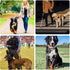 Genuine Leather Short Dog Lead, Strong Traffic Pet Leads with Heavy Duty Metal Hook, Handmade Short Dog Leashes for Big Large Medium Dogs Training and Walking (Classic Style)