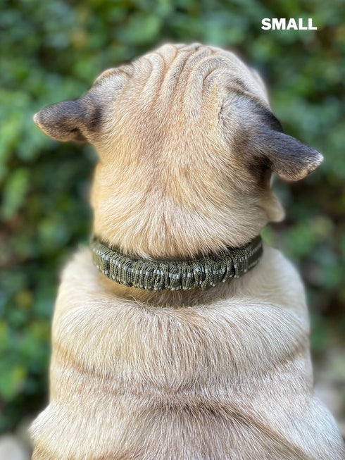 Heavy Duty Dog Collar with Handle | Ballistic Nylon, Padded Reflective Collar with Adjustable Hardware
