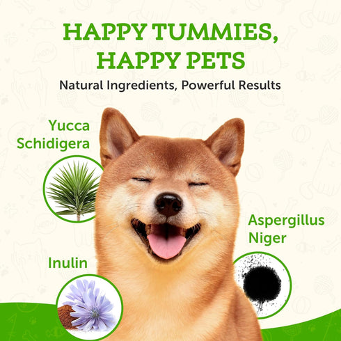 Animal Essentials Plant Enzyme & Probiotics - Digestive Supplement for Dogs & Cats, 10.6 Oz