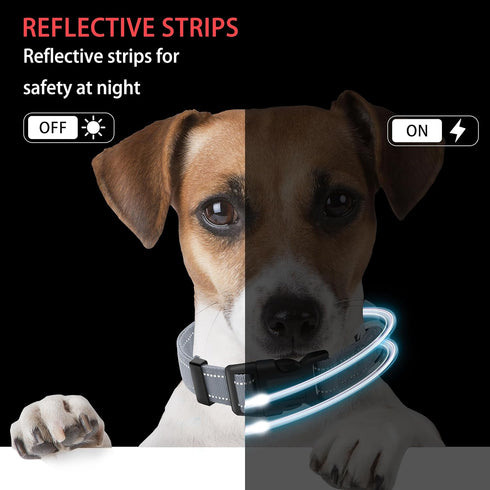 Reflective Dog Collar with Safety Locking Buckle, Adjustable Soft Breathable Nylon Collars for Small, Medium, Large Dogs