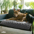 Waterproof Blanket for Dogs, 35" x 35" Anti-Slip Pet Mat Cover for Sofa, Chair, and Furniture Protection