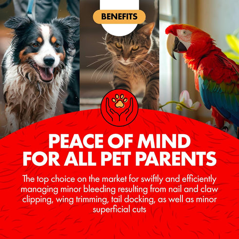 90 Miracle Care Kwik Stop Styptic Pads for Dogs, Cats and Birds, Pre-Soaked Pads, Fast Acting Blood Stop with Pain