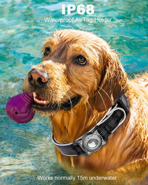 ONEONTA Airtag Dog Collar, Waterproof Airtag Holder with Removable Metal Loop, Heavy Duty Reflective Collar for Small