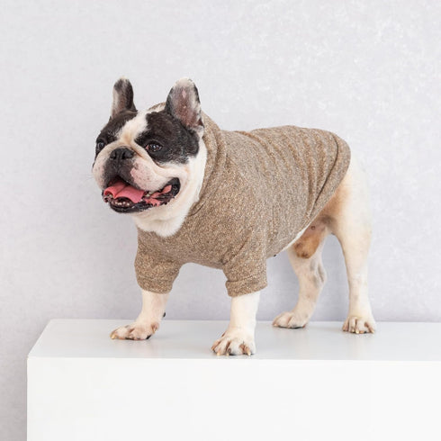 Fitwarm Knitted Dog Hoodie Sweater, Lightweight Winter Clothes for Small Dogs, Heather Khaki, Medium