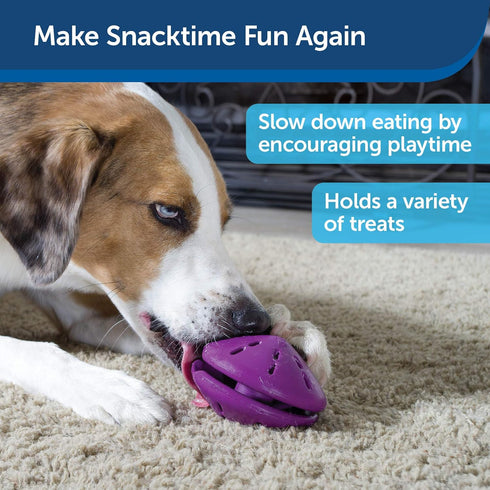 PetSafe Busy Buddy Twist 'n Treat Dispensing Dog Toy - Large Size