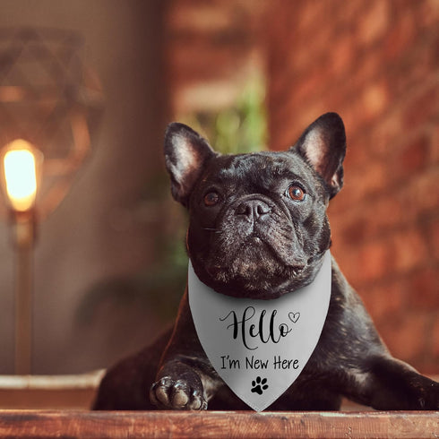 Joyriza Hello I'm New Here Dog Bandana, New Puppy Reveal Party Photo Prop, Cute New Puppies Announcement Gifts for Dog