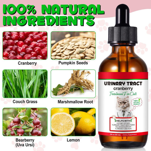 REBODUM 2 oz, Feline Urinary Tract Health, Cat UTI Remedy, Natural Herbal Supplement fl Supporting Regular Care