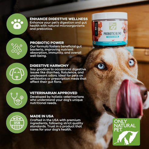 Only Natural Pet Probiotic Supplement for Dogs and Cats - 60 Soft Chews for Digestive & Gut Health