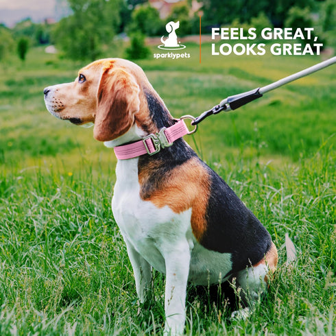 SparklyPets Small Dog Collar with Quick Release Buckle & AirTag Holder - Reflective Stripes & Soft Lining for Small &