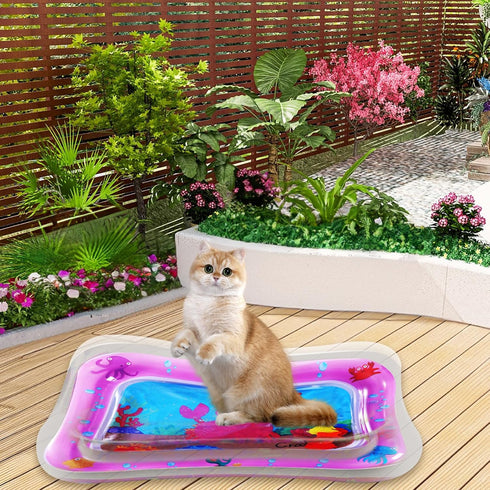 2 Pack Water Sensory Play Mat for Cat, Upgraded Thickened Dog Water Play Mat with PVC Scratch, Anti-Scratch Design Pet