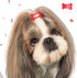 40 Pieces Hair Clips for Dogs, Cute 1 Inch Puppy Dog Barrettes, Multicolor Hair Accessories for Pet Grooming