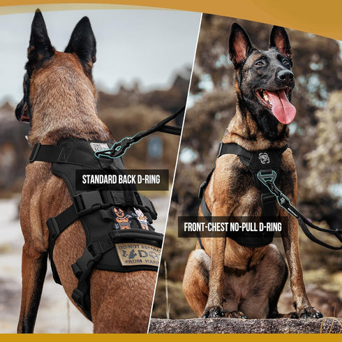 OneTigris Escape Proof Dog Harness, Tactical No Pull Harness for Large Dogs, Multi-Use Support with Handles