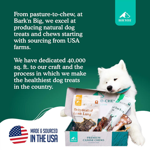 100% 8-12 Inch 12 BARK'N BIG Beef Tendons for Dogs Made in USA - Single Ingredient Dog Treat - Premium All-Natural USA
