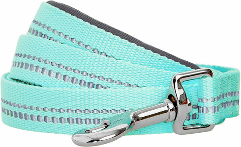 Blueberry Pet 3M Reflective Pastel Color Dog Leash with Soft Comfortable Handle, 5 ft x 3/4", Mint Blue, Medium