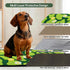 30"x34", 4 Pack Qeils Reusable Puppy Pads for Small Dogs, Washable Pee Pads with Non-Slip , Absorbent Leakproof Mat