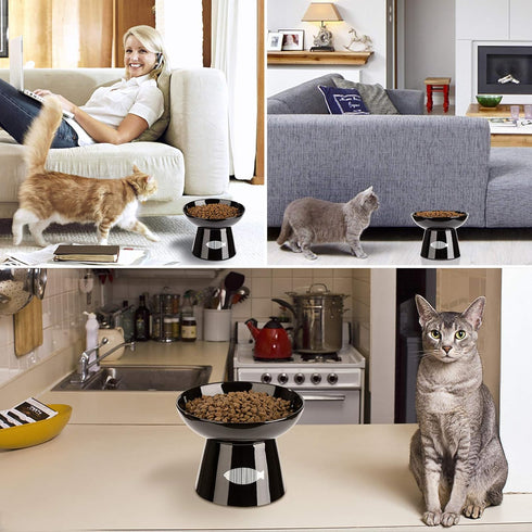 Yangbaga Non-Skid Premium Ceramic Cat Raised Food/Water Bowl with Stand, 4.8x6.4in, Black