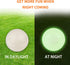 SKIPDAWG Interactive Squeaky Light Up Dog Ball | Glow in Dark, Floating Toy, Durable TPR, 2.5 Inches
