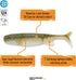 Savage Gear Duratech Minnow Fishing Bait, Smallmouth Magic, Realistic Contours, Colors & Movement, 12X Tough Duratech