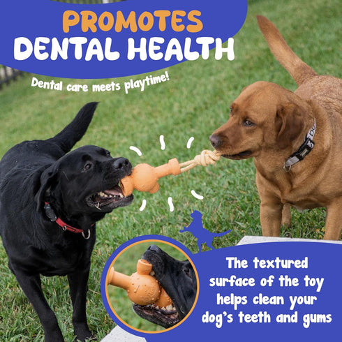 Dog Tug Toy with Rope, Treat Dispensing Dog Toy for All Sizes, Fun Rubber Toy with Tug-A-War Shape
