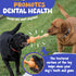 Dog Tug Toy with Rope, Treat Dispensing Dog Toy for All Sizes, Fun Rubber Toy with Tug-A-War Shape